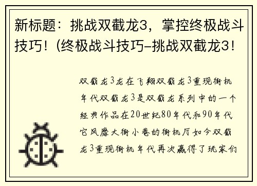 新标题：挑战双截龙3，掌控终极战斗技巧！(终极战斗技巧-挑战双截龙3！你准备好了吗？)